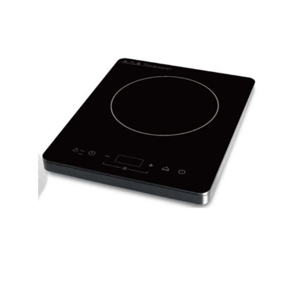 Induction stove discount portable